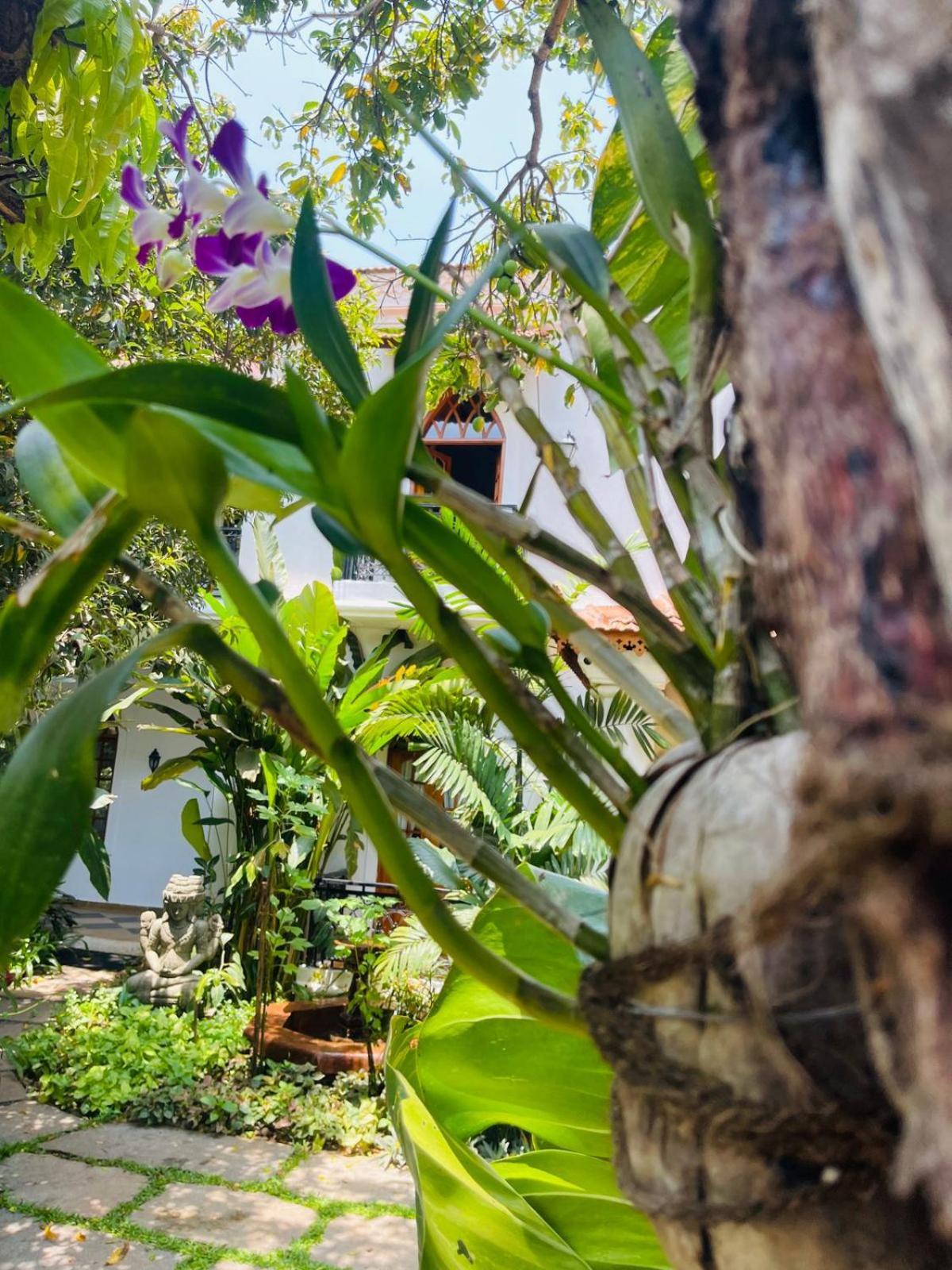 The Postcard Saligao Hotel Calangute Exterior photo